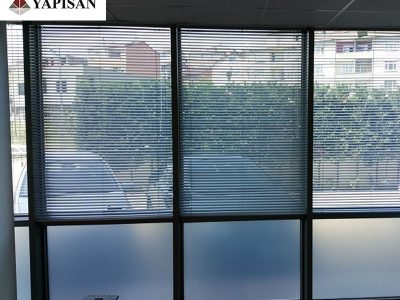 81d9c776-3a41-4bb1-b95e-99684a29fe08